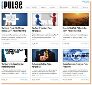 PULSE Interactive - Plains Shadow